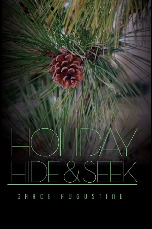 Holiday Hide & Seek